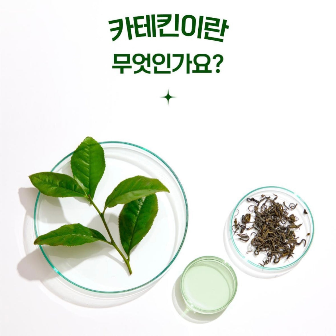 消水腫必備！檸檬綠茶 Ssok Cha Bbaecha Light Turn On（一盒15包）