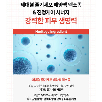 Benestem Human CBCM Cream 敏感肌必備⭐️高保濕修復霜  (50ml)