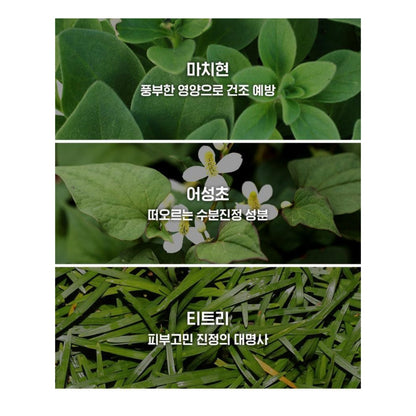 ISOI Moisture Dr. Ampoule持久保濕改善舒緩精華 (40ml+Cream 10ml)