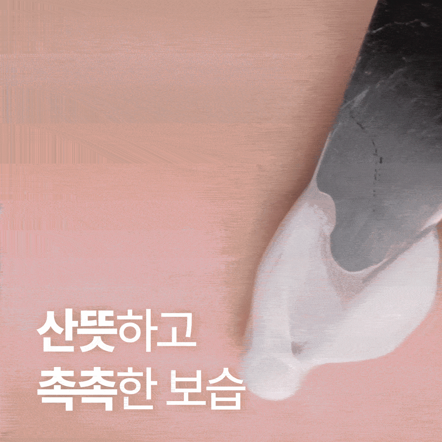 Cutem Daily Cream (75ml)